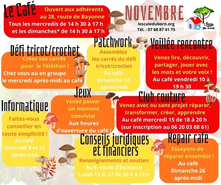 Programme de novembre 2023. Voir l'alternative textuelle ci-dessus.